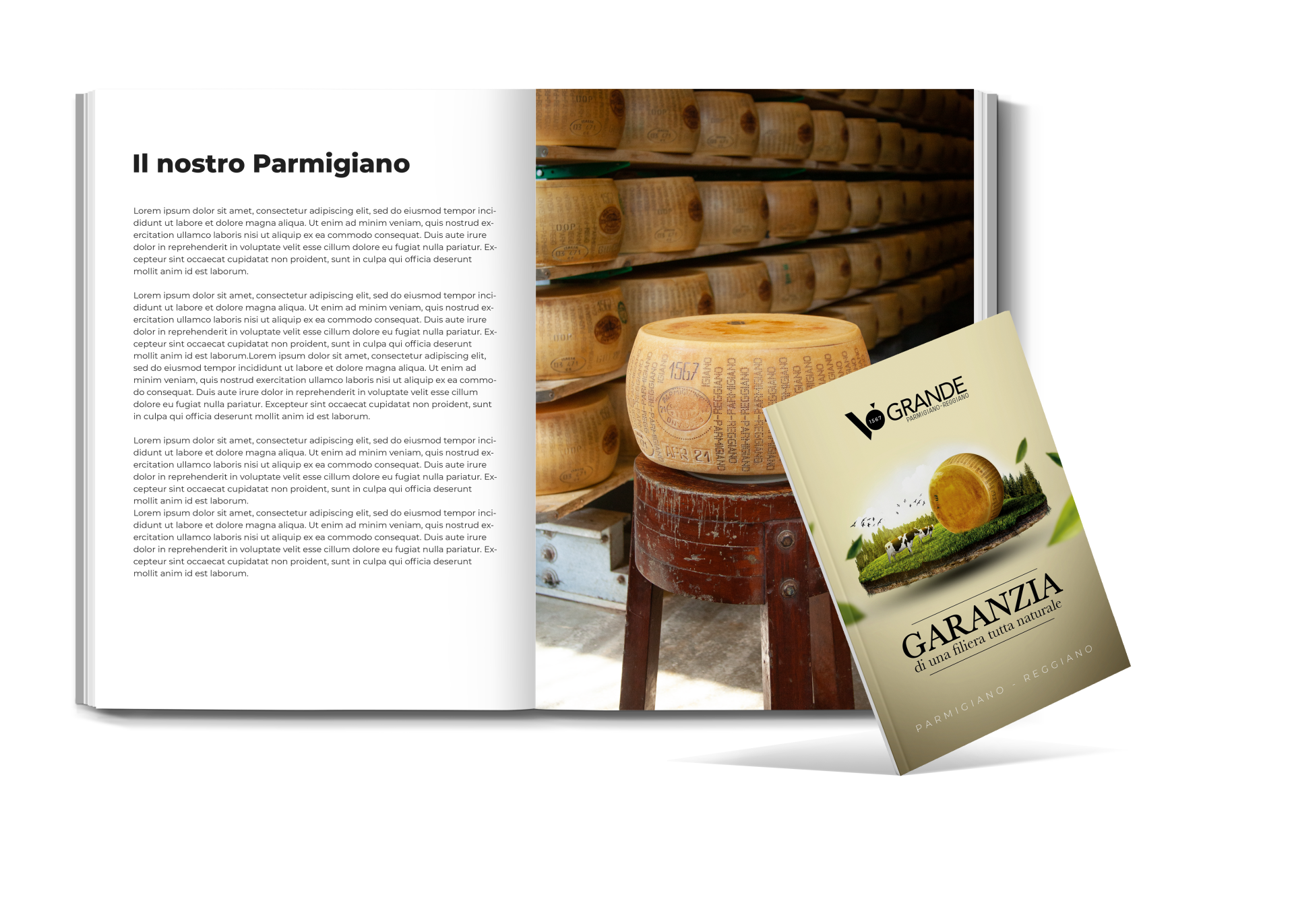 garanzia-parmigiano.png
