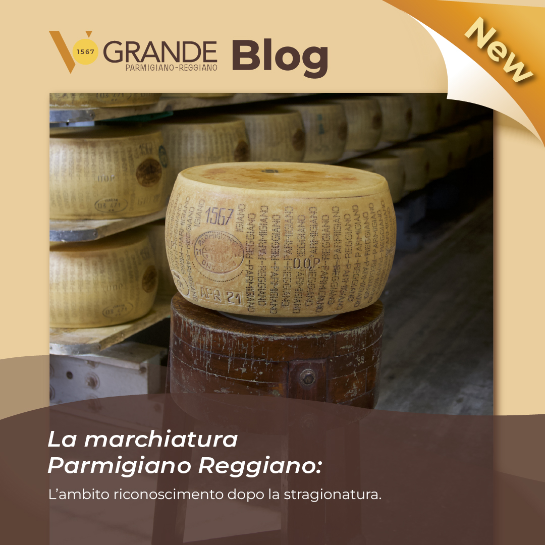 La Marchiatura.jpg