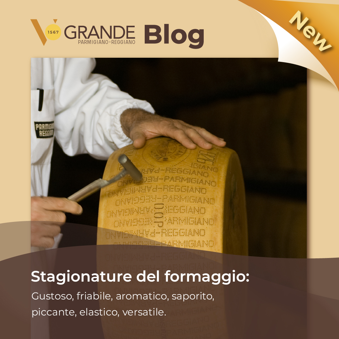 La Stragionatura.jpg