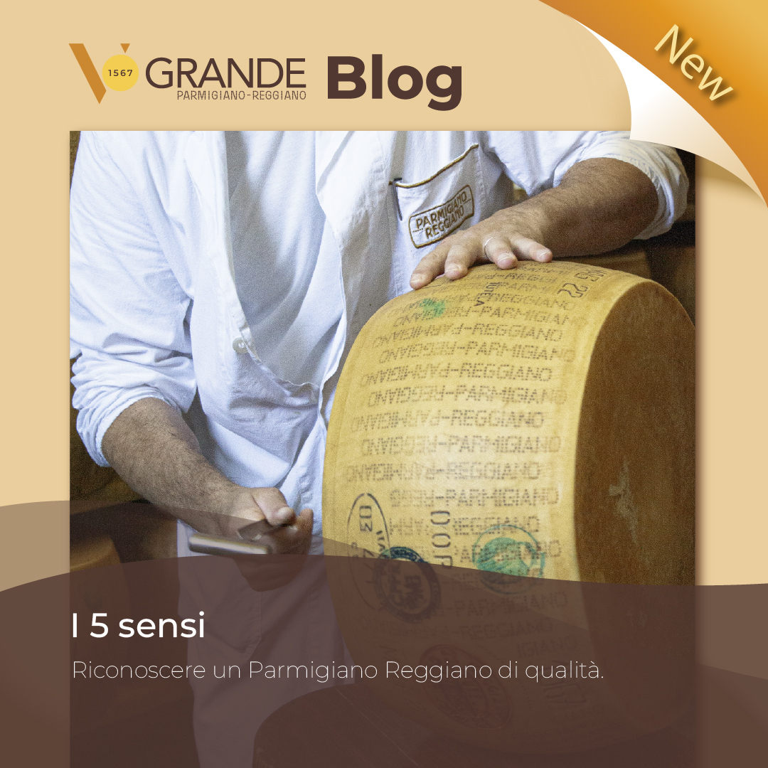 Parmigiano Reggiano.jpg