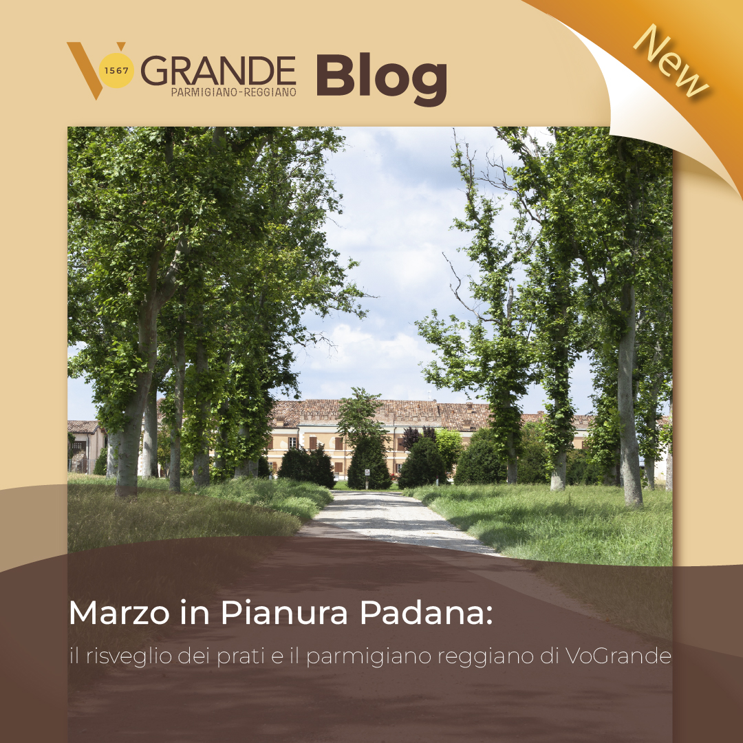 Parmigiano Reggiano.jpg